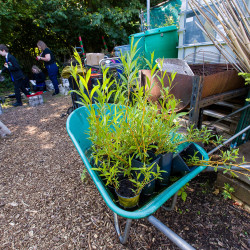 forestschool210624